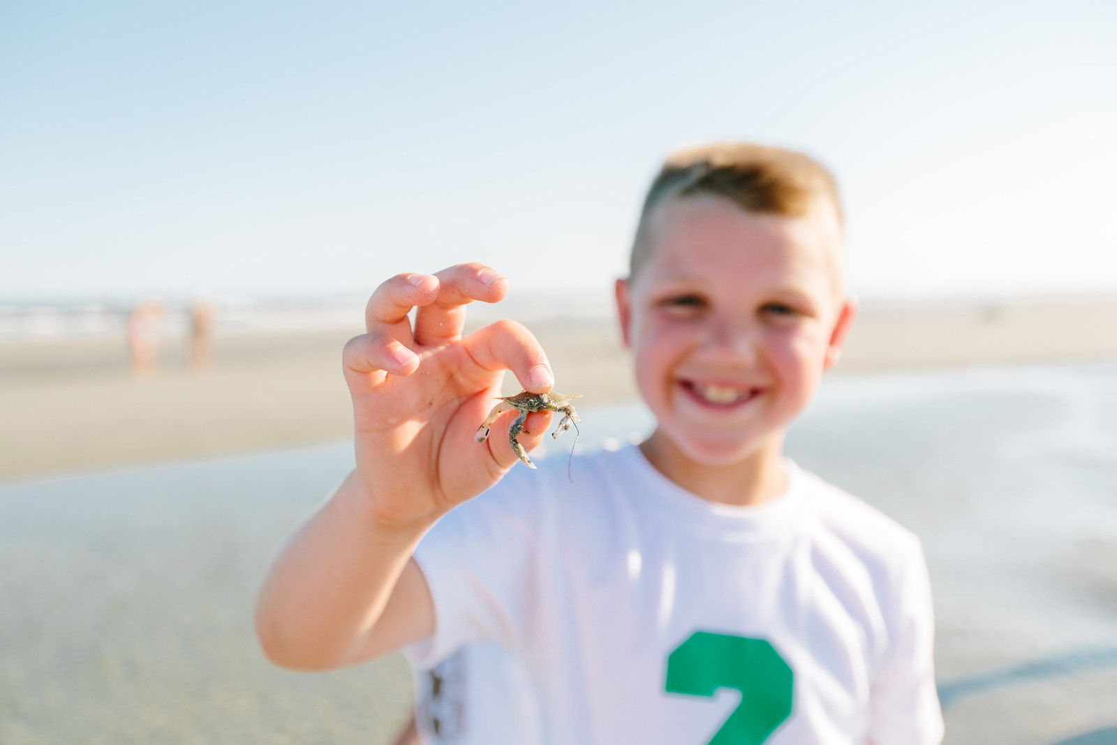  Hermit Crab? Or? Either way, an exciting discovery! 